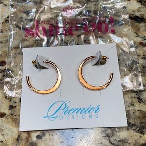 Premier Designs Earrings